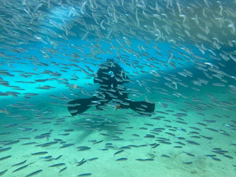 Tauchkurs Nittendorf, Arnstein, Hofheim, Plau am See, Kellinghusen, Saarbrücken, Klagenfurt, Wien,, Wil, Krk, Lanzarote, Serbien, 